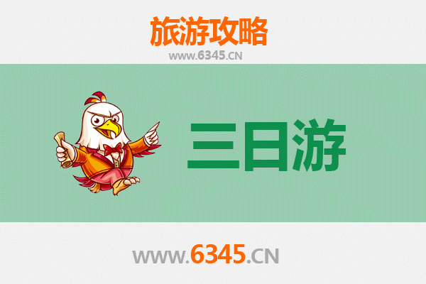 嘉义竹崎春节三日游攻略：山林茶香与年味交织的慢旅行